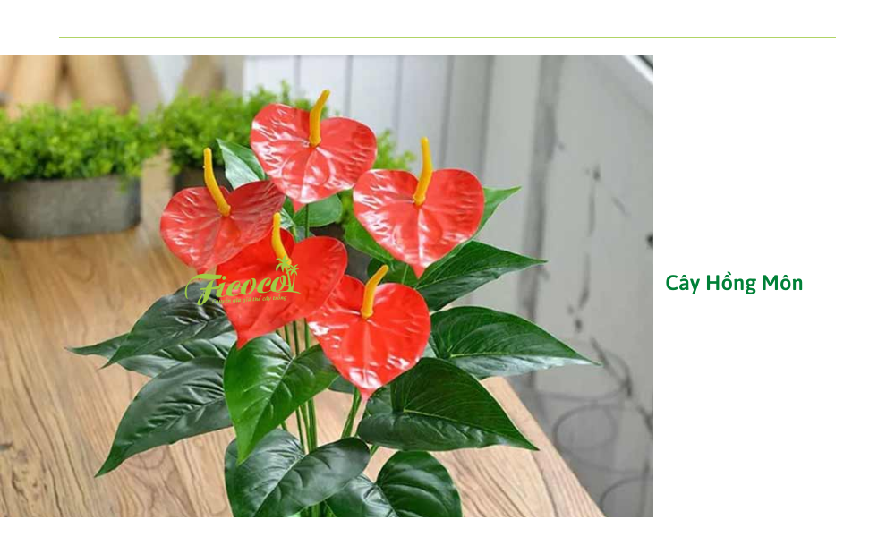 11-cddd40ff-826e-4345-8594-5d338a906a50 cay-hong-mon