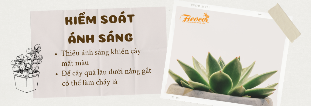 2-07f640f6-01e6-44d6-8f3e-af4151491dd8