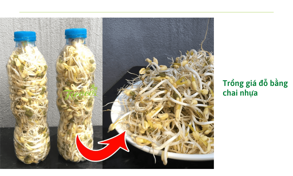 3-2f7c939b-0878-4fa3-8146-4b0585680914 cach-lam-gia-do-bang-chai-nhua