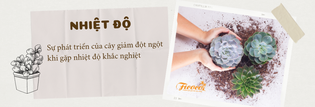 3-7ea6dd2b-d8a7-4750-b307-3734dae43840