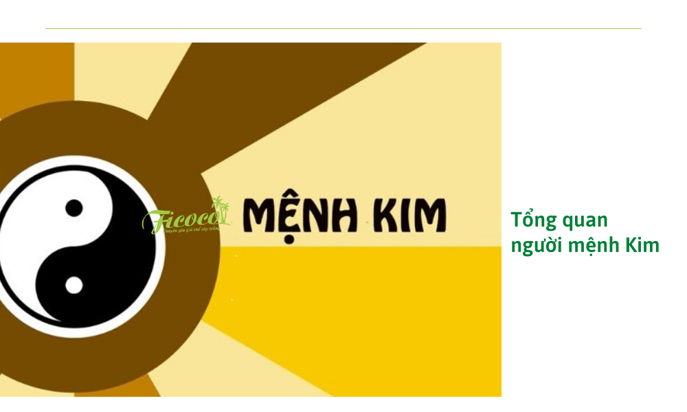 3-7eb48422-4e52-4b46-b47f-000e641b570c tong-quan-nguoi-menh-kim