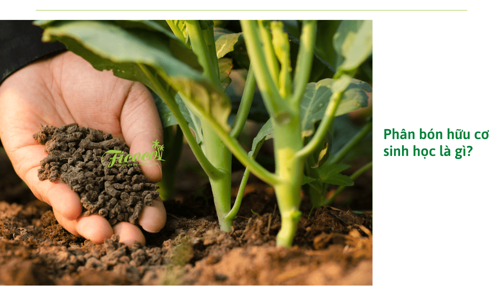 phan-bon-huu-co-sinh-hoc-la-gi