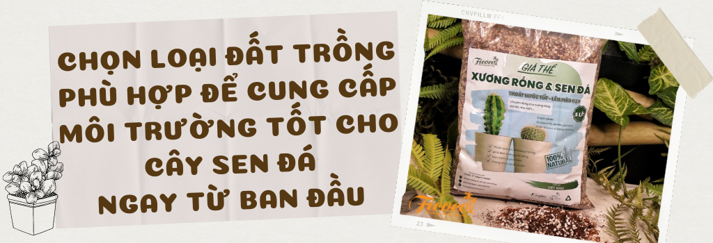 4-16e4cdef-7753-461b-8a90-5f3c6a3add07