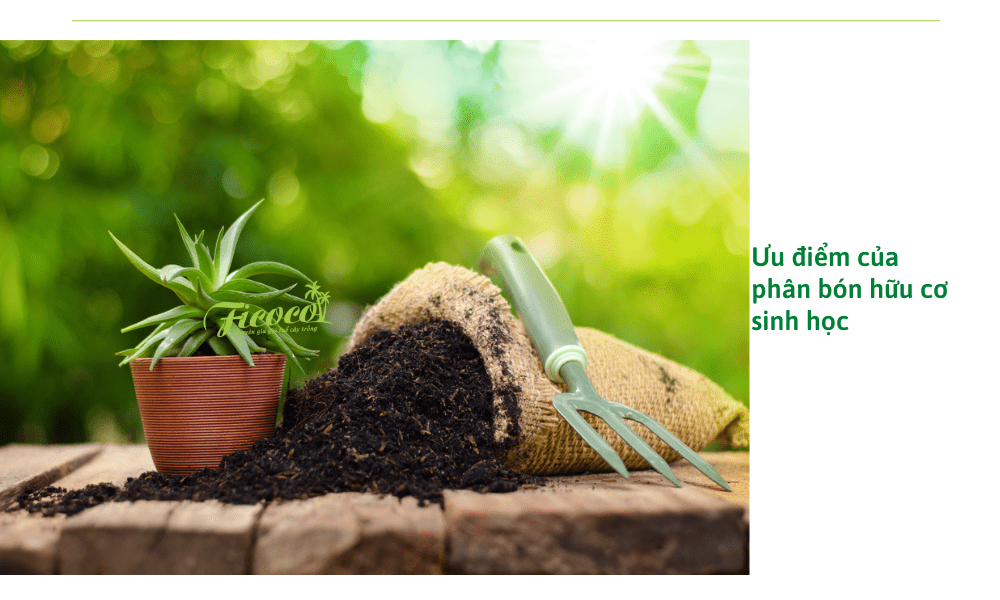 uu-diem-cua-phan-bon-huu-co-sinh-hoc