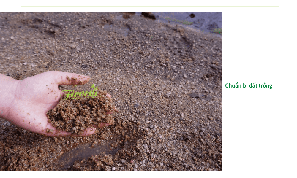 chuan-bi-dat-trong-hoa-nhai