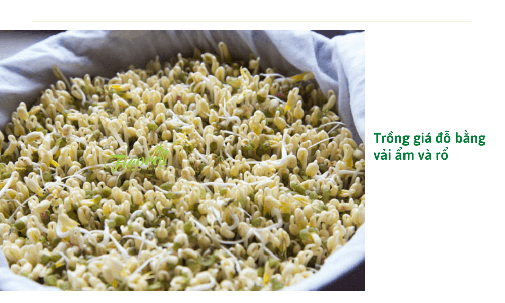 4-dabef0af-6da1-45d3-9930-a04f1049e517 cach-lam-gia-do-bang-ro-va-vai-am