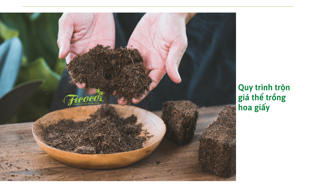 quy-trinh-tron-gia-the-trong-hoa-giay