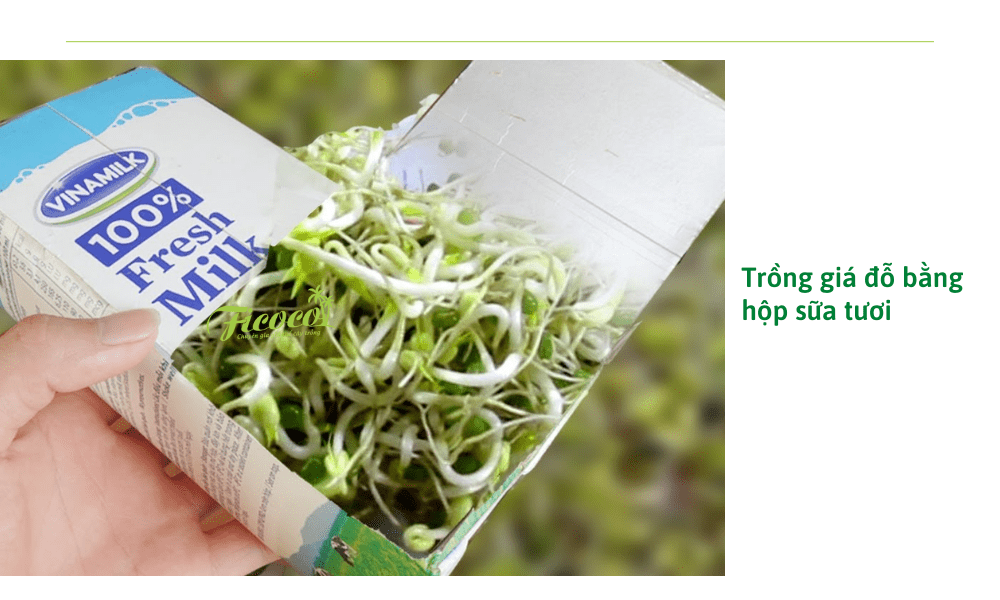 5-1a48a286-76b5-4912-abbe-51caa69ce531 cach-lam-gia-do-bang-hop-sua-tuoi