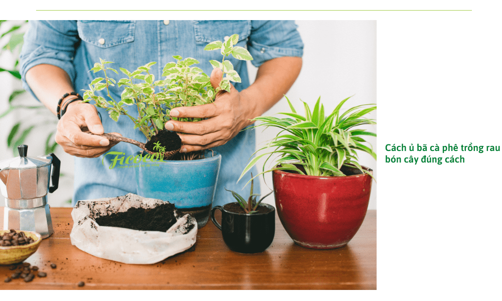 cach-u-ba-ca-phe-dung-cach
