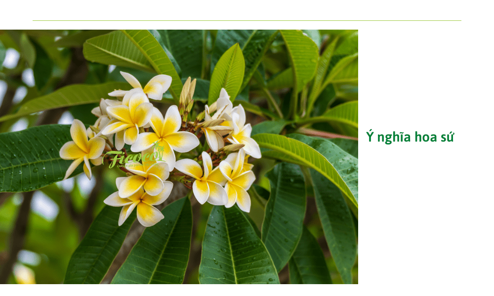 6-6ad925bf-34c2-4558-b6b8-912a05bbccfe y-nghia-hoa-su