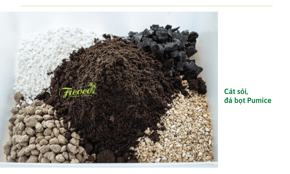 gia-the-lam-tu-da-pumice