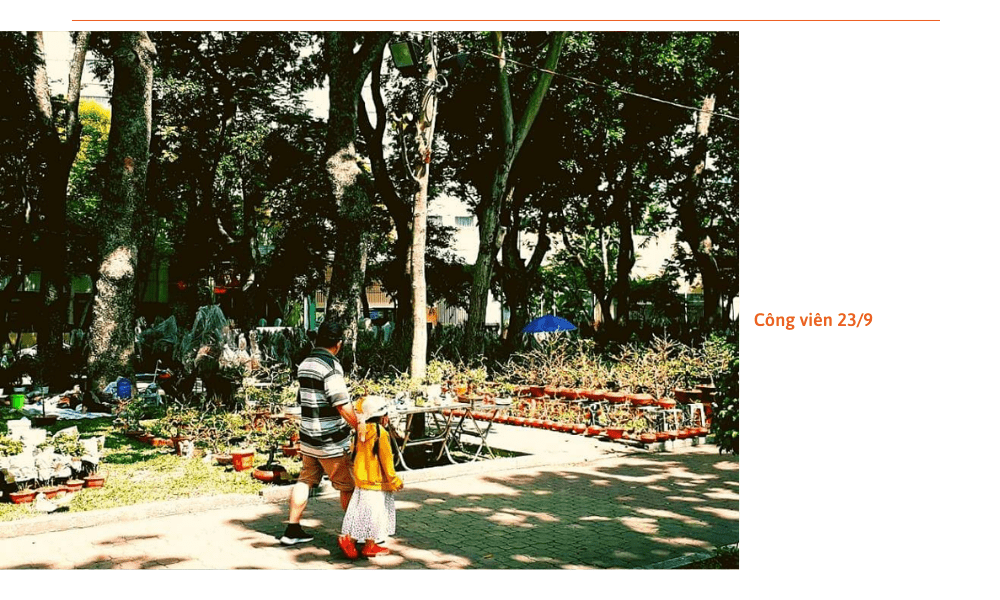 mua-gia-the-trong-lan-o-tp-hcm