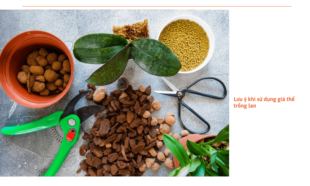 mua-gia-the-trong-lan-o-tp-hcm