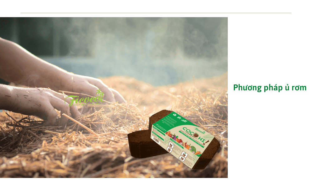 phuong-phap-u-rom-nam