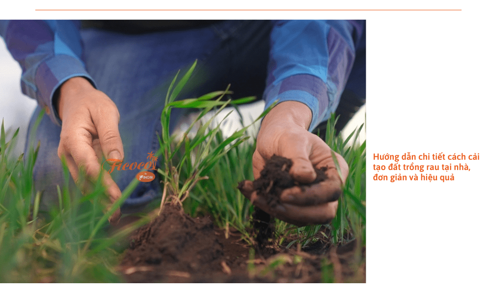 cai-tao-dat-trong-rau