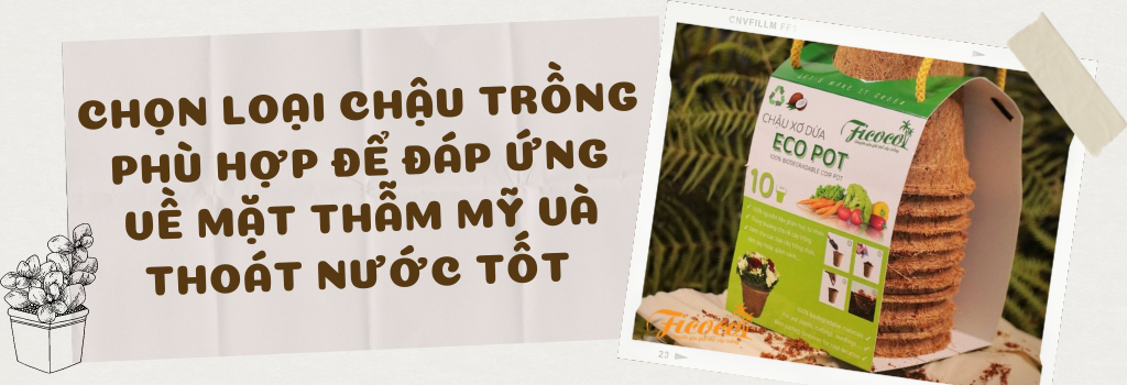 dieu-chinh-luong-nuoc-tuoi-5-c7d528e4-9cda-4bc5-9b56-1f242a505f4d