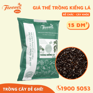 GIÁ THỂ TRỒNG KIỂNG LÁ 15L - FICOCO
