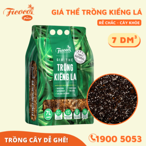 GIÁ THỂ TRỒNG KIỂNG LÁ 7L - FICOCO