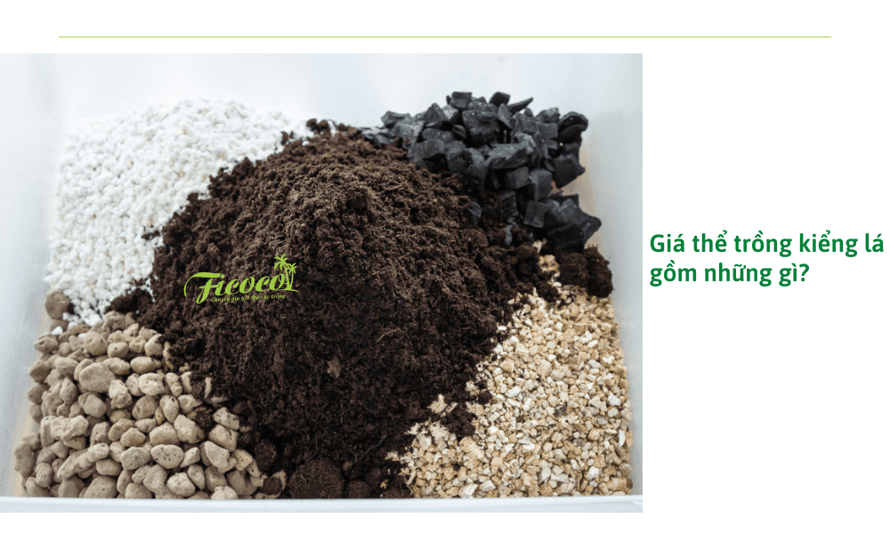 gia-the-trong-kieng-la-gom-nhung-gi