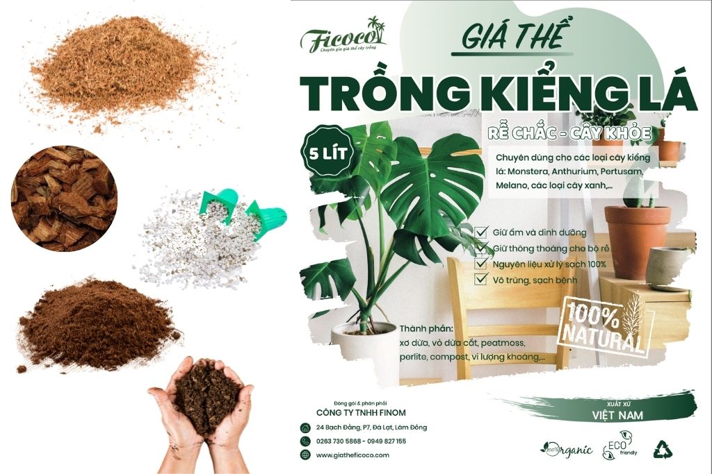 gia-the-trong-kieng-la