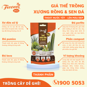 GIÁ THỂ TRỒNG XƯƠNG RỒNG & SEN ĐÁ - FICOCO