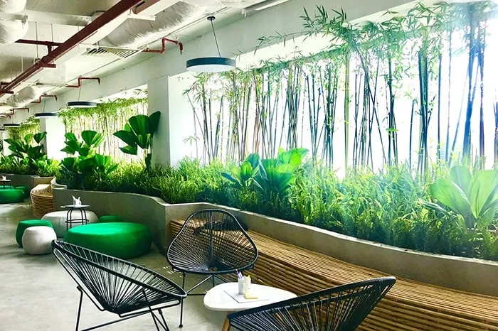 Trang trí cây xanh nội thất