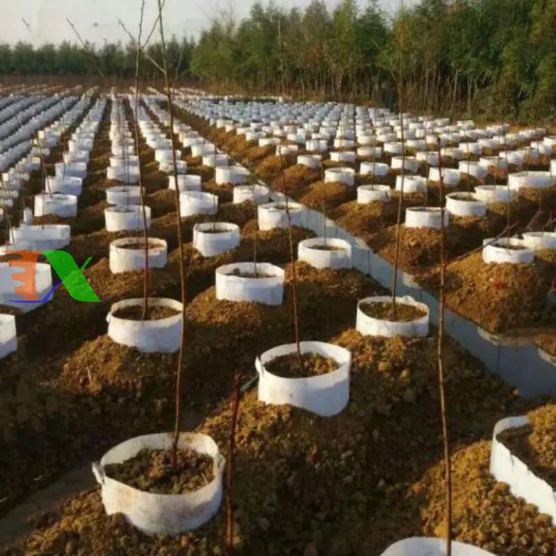 Hệ thống quai xách chắc chắn giúp di chuyển cây trồng dễ dàng