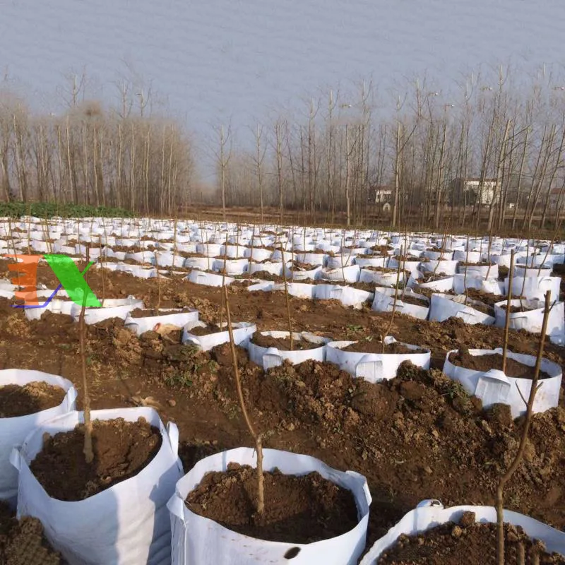 Kiểm tra định kỳ độ ẩm bên trong túi vải để điều chỉnh lượng nước tưới