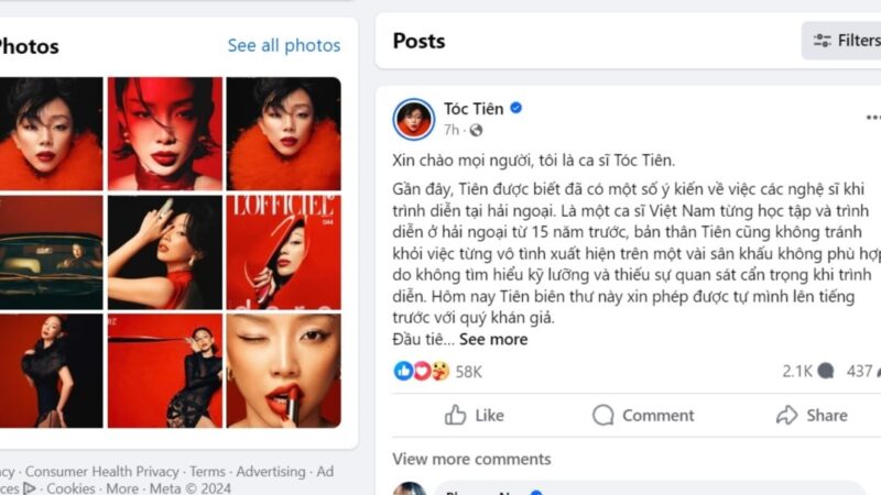 Các Loại Cây Bóng Mát Trồng Trước Nhà Phù Hợp Với Khí Hậu Việt Nam