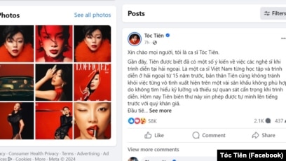 Các Loại Cây Bóng Mát Trồng Trước Nhà Phù Hợp Với Khí Hậu Việt Nam