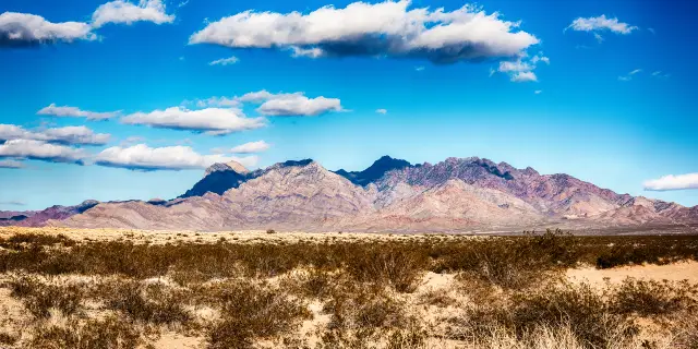 Hướng Dẫn Chi Tiết Cách Tạo Dáng Chụp Ảnh Với Cây Thông Noel Đẹp Lung Linh