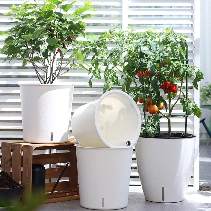 Chậu Nhựa Tròn Trồng Cây Cỡ Lớn: Hướng Dẫn Chọn Mua & Bí Quyết Chăm Sóc Vượt Trội