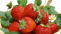 Bí quyết giúp trẻ lâu từ trái cây màu đỏ