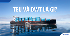 1 DWT Bằng Bao Nhiêu Tấn Phân Bón? Giải Mã Toàn Diện Trọng Tải Tàu Biển