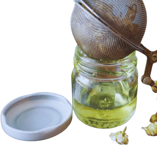 Hướng Dẫn Chi Tiết: cách chiết cây hương thảo Nhân Giống Thành Công Tại Nhà