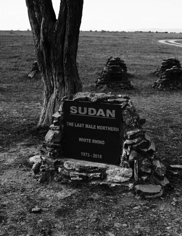 Trái Cây Tươi Cắt Sẵn: Bảo Quản An Toàn Với Kỹ Thuật Đóng Gói Khí (MAP)