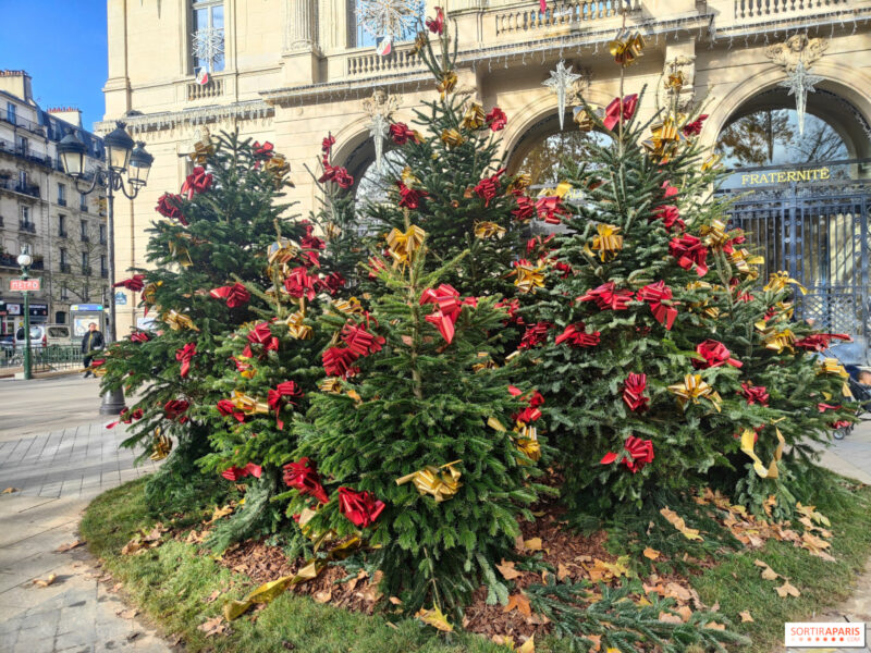 Những Cây Không Có Hoa: Phân Loại, Đặc Điểm Và Ví Dụ Thực Tế