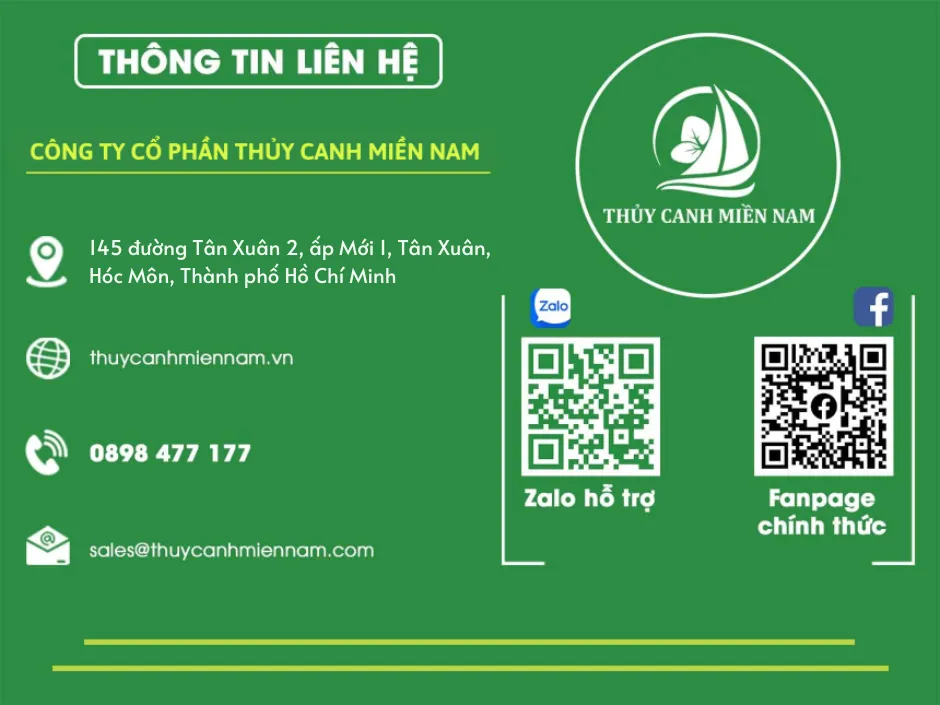thông tin liên hệ thuỷ canh miền nam