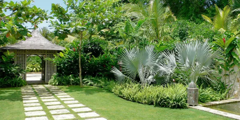 Tiêu chí khi lựa chọn cây trồng bồn hoa trước nhà đẹp