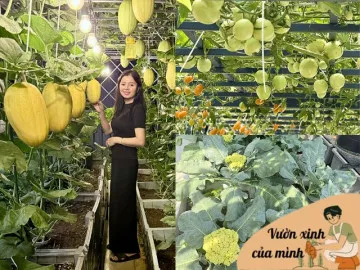 Mẹ đảm Quảng Ngãi biến sân thượng ngôi nhà thành khu vườn 100m2 rau củ gì cũng có, ăn quanh năm không hết