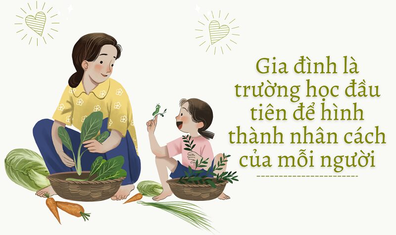 Vai Trò Của Hoa Và Cây Cảnh Trong Không Gian Sống Và Bí Quyết Dinh Dưỡng