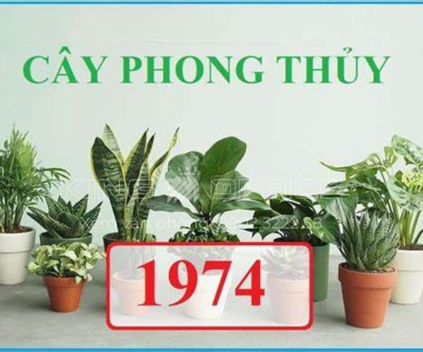 tuổi giáp dần 1974 trồng cây gì hợp phong thủy rước lộc vào nhà