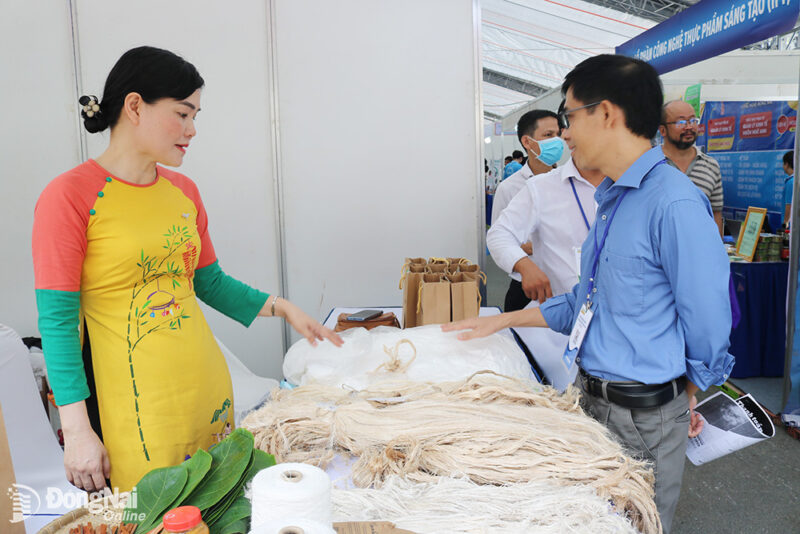 Biến Chai Nhựa Cũ Thành Chậu Trồng Rau Xanh Mát: Hướng Dẫn Chi Tiết Từ A-Z