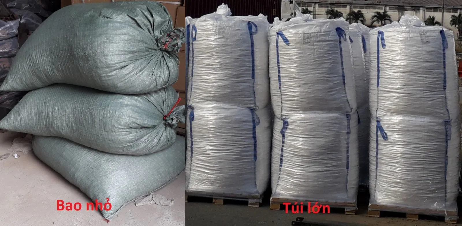 Quy cách đóng gói Mutag Biochip theo túi lớn và bao nhỏ