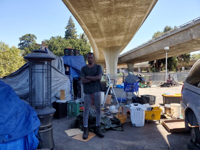 Dịch Vụ Trồng Cây Cảnh Tại Nhà: Kiến Tạo Không Gian Xanh Cho Gia Đình Bạn