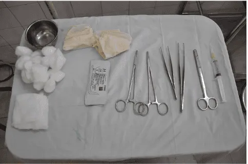 Tiến trình hồi phục của vết thương sau khi tháo bỏ chỉ khâu