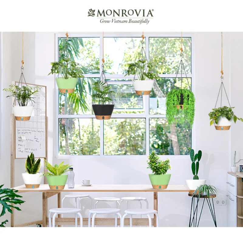 Chậu Nhựa Trồng Cây Ban Công: Giải Pháp Xanh Cho Không Gian Sống Hiện Đại