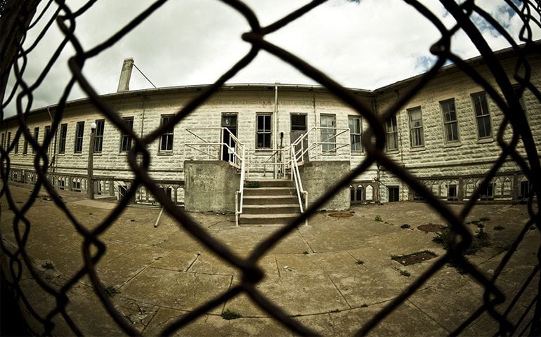 Khám Phá Toàn Diện: Cây Hoa Râm Bụt Có Tác Dụng Gì Mà Bạn Nên Biết?