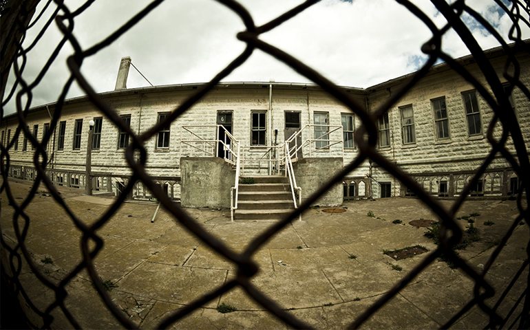 Khám Phá Toàn Diện: Cây Hoa Râm Bụt Có Tác Dụng Gì Mà Bạn Nên Biết?