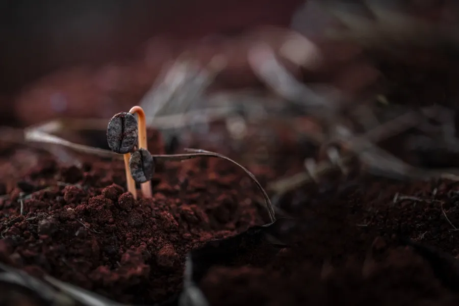 Thành phần chi tiết bên trong mỗi viên nén Carraro Nocciolino